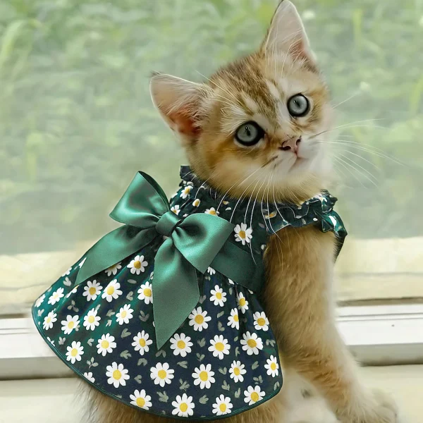 Cyan Floral Pet Princess Dress