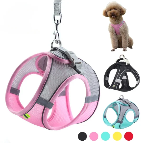Adjustable Pet Harness & Leash Set