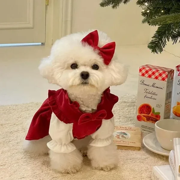 Winter Bow Princess Pet Dress