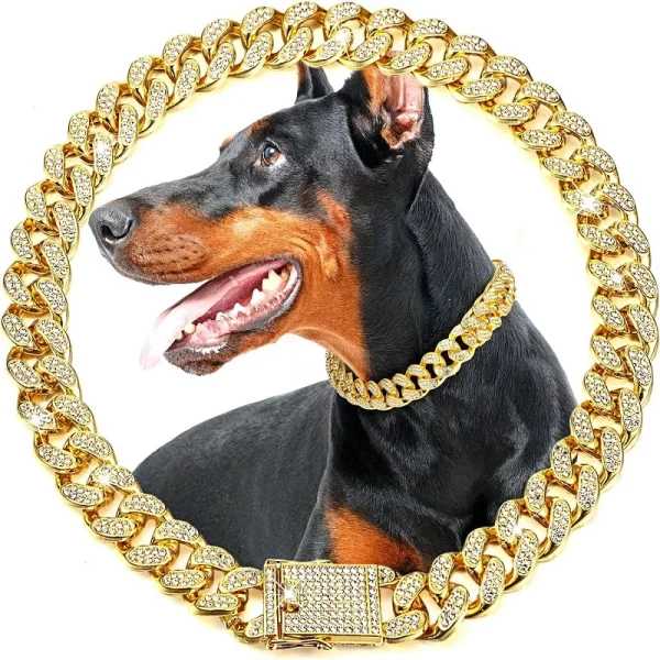 Luxury Gold Chain Pet Collar