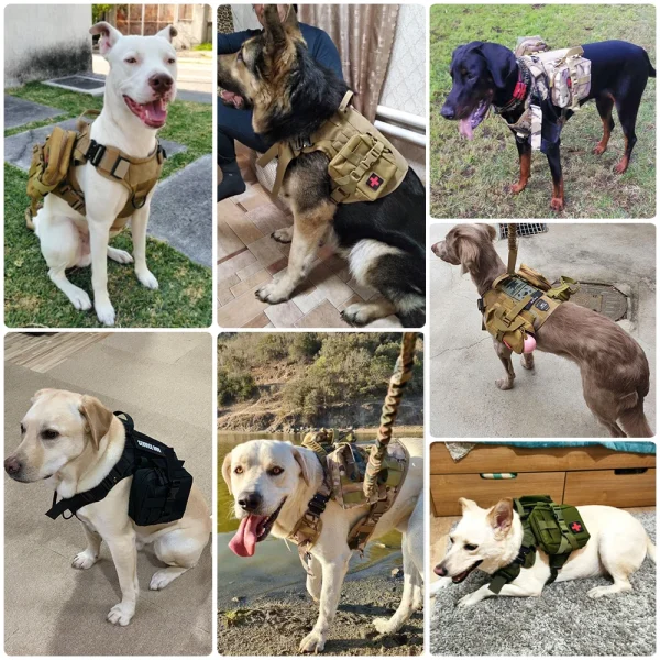 Tactical No-Pull Dog Harness Set